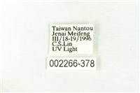 樹形尺蛾藏品圖，第3張