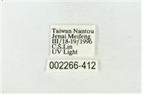 連珠波紋蛾藏品圖，第3張