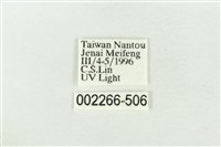 連珠波紋蛾藏品圖，第3張