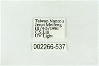 帶波紋蛾藏品圖，第3張