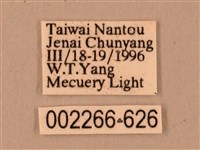 臺灣鋸翅天蛾藏品圖，第3張