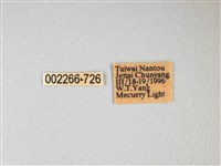 紅目天蠶蛾藏品圖，第3張