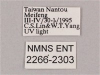 井上氏絨毛天蛾藏品圖，第3張