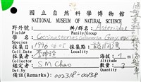 尖棘篩海盤車藏品圖，第26張