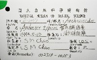 飛白楓海星藏品圖，第12張