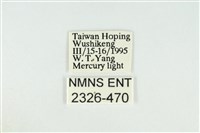 寬紋黃毒蛾藏品圖，第3張