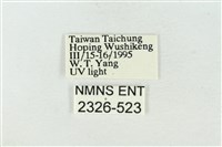 連珠波紋蛾藏品圖，第3張