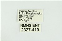 黑翅黃毒蛾藏品圖，第3張