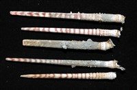 棒棘鋸頭帕(環鋸棘頭帕)藏品圖，第14張