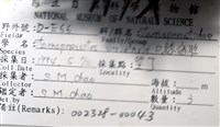 口鰓海膽藏品圖，第16張