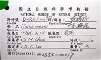 芮氏蠑螺藏品圖，第16張