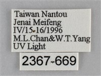 扁刺蛾藏品圖，第3張