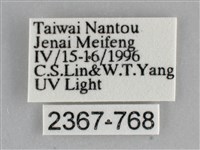 澄線尺蛾藏品圖，第3張