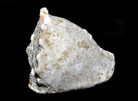 唐冠螺藏品圖，第2張