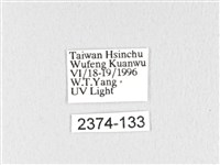 褐斜帶枯葉蛾藏品圖，第3張