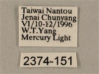 全緣缺角天蛾藏品圖，第3張