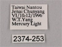 桃紅六點天蛾藏品圖，第3張