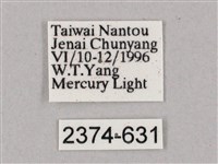 盾天蛾藏品圖，第3張