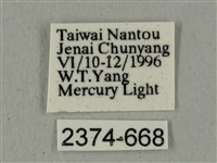 全緣缺角天蛾藏品圖，第3張