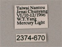 榆綠天蛾藏品圖，第3張