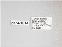 圓翅大鉤蛾藏品圖，第3張