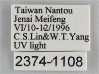 雙峰霜尺蛾藏品圖，第3張