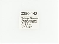 艷金龜藏品圖，第2張