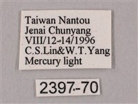 黑角六點天蛾藏品圖，第3張