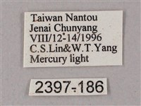 榆綠天蛾藏品圖，第3張
