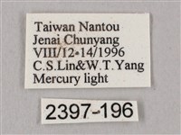 直翅六點天蛾藏品圖，第3張