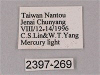 榆綠天蛾藏品圖，第3張