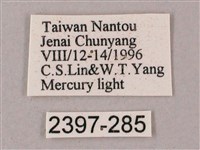 榆綠天蛾藏品圖，第3張