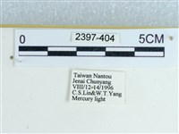 登錄號:002397-00404藏品圖，第3張