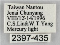 枯葉尺蛾藏品圖，第3張