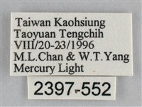 枯葉尺蛾藏品圖，第3張