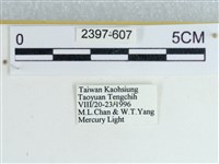 登錄號:002397-00607藏品圖，第3張