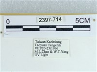 登錄號:002397-00714藏品圖，第3張