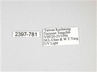 大透目天蠶蛾藏品圖，第3張