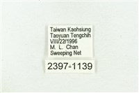 高砂燕灰蝶藏品圖，第3張