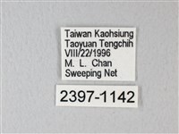 淡青雅波灰蝶藏品圖，第3張