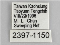 圓翅紫斑蝶藏品圖，第3張