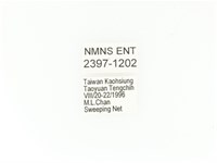 小扇角金龜藏品圖，第2張