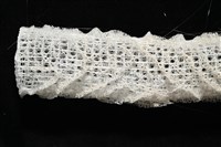 未知種偕老同穴海綿藏品圖，第12張