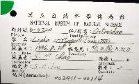 鋸齒牡蠣藏品圖，第16張