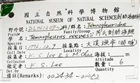 芮氏刻肋海膽藏品圖，第16張
