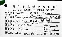大枇杷螺藏品圖，第12張