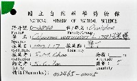 玉兔螺藏品圖，第12張