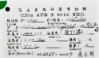 帝王渦螺藏品圖，第16張