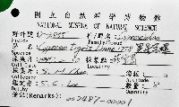 黑星寶螺藏品圖，第12張