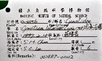 象鼻法螺藏品圖，第12張
